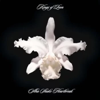 Kings of Leon: Aha Shake Heartbreak